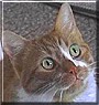 Sal