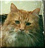 William