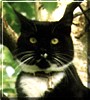 Herbert