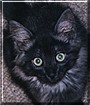 Izzy