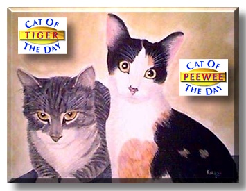 Tiger and PeeWee, the Cat of the Day