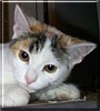 Smudge