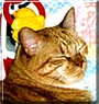 Max