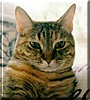 Lucy