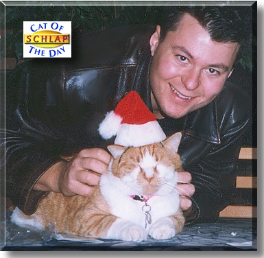 Schlap, the Cat of the Day