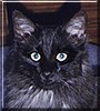 Nimbus