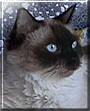 Sebastian