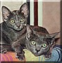 Sumalee & Kamala