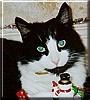 Bagpuss