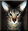 Carlos