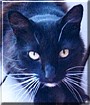 Schatzi