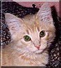 Oscar