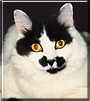 Murray