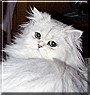 Nimbus