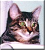 Percy