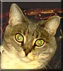 Buffy