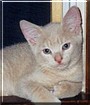 Lenny