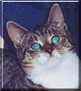 CleoCatra