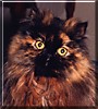Winnie