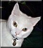 Jasper