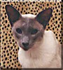 Tallulah
