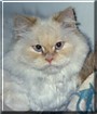 Maurice