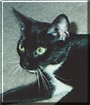 Maggie