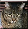 Colby