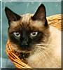 Gizmo