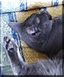 Pushkin
