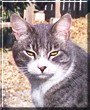 George