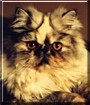 Hannah