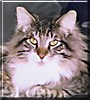 Klaus