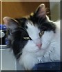 Muffy
