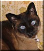 Tabu
