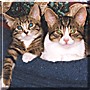 Kenny, Molly