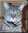 Milo