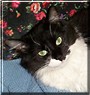 Josie