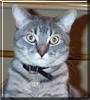 Milo