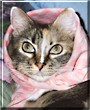 Marsha