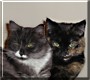 Yin Yang, Worthless