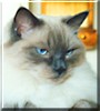 Milton