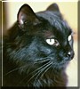 Farley