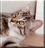 Roxy