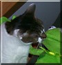 Bite