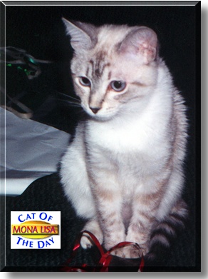 Mona Lisa, the Cat of the Day