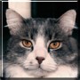 Michel