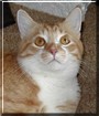 Marvin