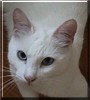 Oscar