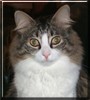 Felix